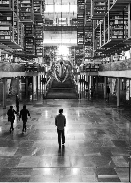 4cc63f6813758907681bf2e7f2f3d366-large